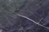 Polished Morado Opal Section - Central Mexico #355196-1
